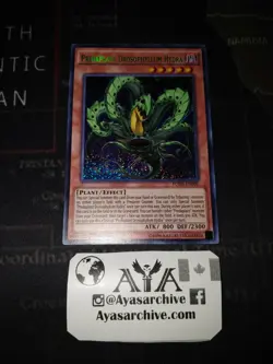 PREDAPLANT DROSOPHYLLUM HYDRA - 1ST ED SECRET RARE NM FUEN-EN002 YUGIOH - Image 1