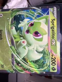 Sprigatito ex Pokemon Scarlet & Violet SVP 087 Holo Black Star Promo NM - Image 2