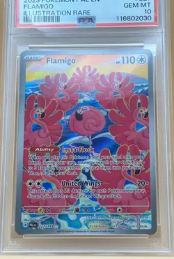 2023 POKEMON PAL EN-PALDEA EVOLVED ILLUSTRATION RARE #227 FLAMIGO PSA 10 - Image 2