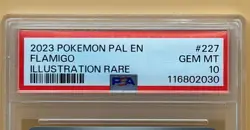 2023 POKEMON PAL EN-PALDEA EVOLVED ILLUSTRATION RARE #227 FLAMIGO PSA 10 - Image 3
