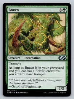 Brawn 160 Uncommon Ultimate Masters Magic: The Gathering Near Mint - Image 1