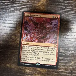 Soul Immolation M Lorwyn Eclipsed 156 NM Magic - Image 1