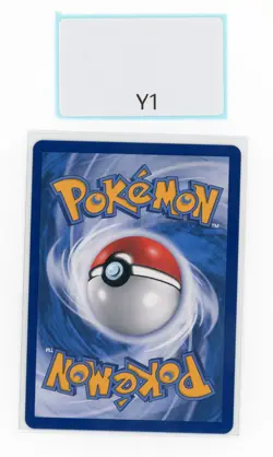 PTCG POKEMON ALOLA FRIENDS 081/S-P 1st Anniversary 2023 PROMO S'CHINESE - Image 2