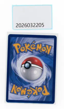 PTCG Pokemon Flareon 003/009 2024 CSHC PACK S.Chinese - Image 2
