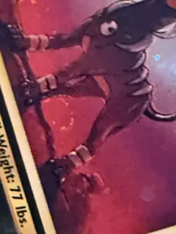 Houndoom 8/64 Neo Revelation Unlimited Holo LP Swirl Pokemon Card - Image 3