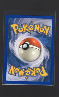 Swinub 107/144 Skyridge Non-Holo E-Series Pokemon TCG Card NM - Image 2