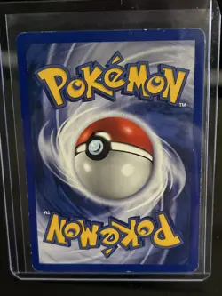 Pokemon TCG Bayleef Neo Genesis 1st Edition Uncommon Card 29/111 - Image 2