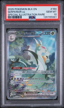 2025 POKEMON BLK EN-BLACK BOLT SPECIAL ILLUSTRATION RARE SERPERIOR EX PSA 10 - Image 1