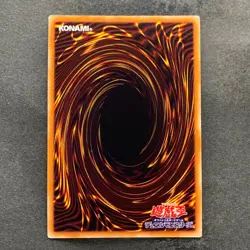 NM Dark Paladin GP16-JP007 Gold Secret Rare YuGiOh 680 - Image 5