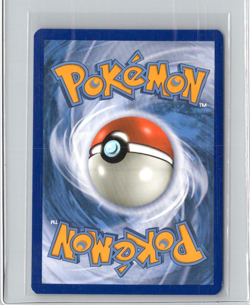Umbreon & Darkrai GX SM241 Pokemon TCG Sun & Moon Promo Ultra Rare Card NM/VLP - Image 2