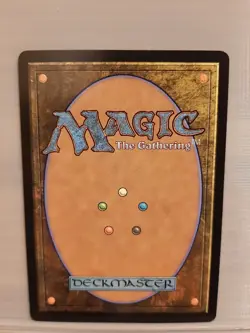 MTG Appa, Steadfast Guardian (Borderless) Avatar: The Last Airbender Normal 0316 - Image 2