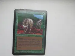 MTG Timber Wolves Alpha Magic the Gathering MP - Image 1
