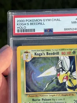 Pokemon Gym Challenge Koga's Beedrill Holo Rare 9/132 PSA 9 Unlimited English - Image 2
