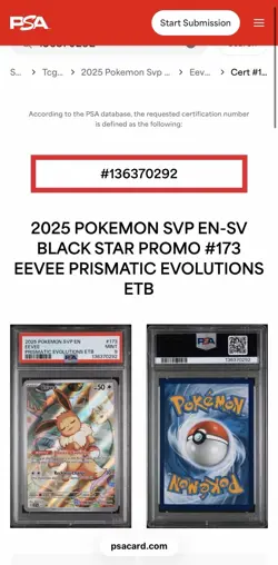 PSA 9 - Eevee 173 - English Pokemon Prismatic Evolutions ETB Promo - Image 3