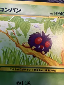 Venonat 048 Japanese Neo Destiny Old Back Pokemon Vintage TCG Card SootSprite - Image 5