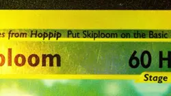 Skiploom 60/147 Reverse Holo Pokemon Aquapolis 2002 Wotc Vintage NM/LP - Image 5