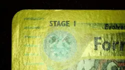 Forretress 56/144 Reverse Holo Pokemon Skyridge 2003 Wotc Vintage LP/NM - Image 5