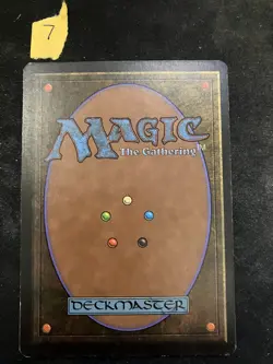 Magic The Gathering MTG Savannah Revised Edition Signed by Artist, Excellent - Image 2