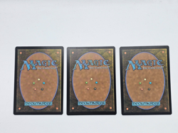 Borne Upon a Wind Base, Foil, Extended Art Magic the Gathering Lord of the Rings - Image 2