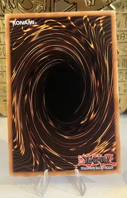 YuGiOh! - REINFORCE! MP24-EN354 Common 1st Edition Near Mint - Image 2