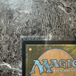 Rhystic Study Wilds of Eldraine: Enchanting Tales Regular - Image 3