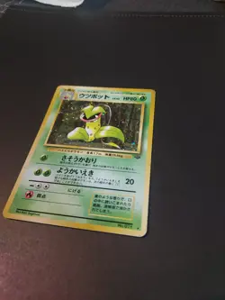 Pokemon Card Victreebel Lv.42 No.071 Old Back Holo Rare NM-EX Japanese r958 - Image 2