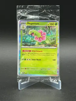 Mega Evolutions Staff Promos Set of 4 SEALED - Pokemon - Image 1
