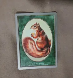 Magic the Gathering - Unglued - Squirrel Token - LP Condition - MTG - READ DESC. - Image 1