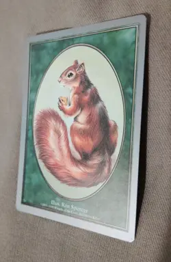 Magic the Gathering - Unglued - Squirrel Token - LP Condition - MTG - READ DESC. - Image 3