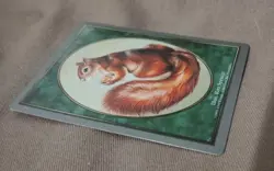 Magic the Gathering - Unglued - Squirrel Token - LP Condition - MTG - READ DESC. - Image 4