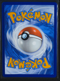 Team Rocket's Mewtwo ex Holo Promo #205 SV: Scarlet & Violet Promo Cards 2023 NM - Image 2