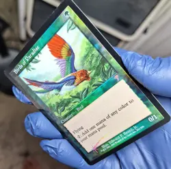 MTG 7th Edition Foil Birds of Paradise (Card B) - Image 3