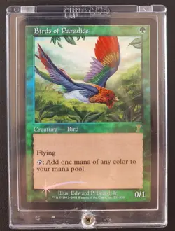 MTG 7th Edition Foil Birds of Paradise (Card B) - Image 4