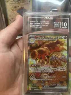 Pokemon Dachsbun Ex 129102 Special Art Rare Stellar Miracle TAG 10 Gem Mint - Image 2