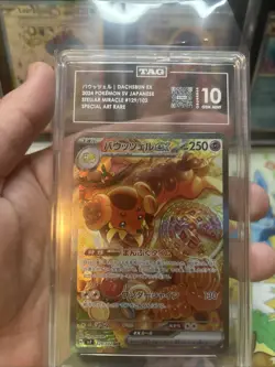 Pokemon Dachsbun Ex 129102 Special Art Rare Stellar Miracle TAG 10 Gem Mint - Image 3