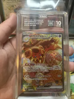 Pokemon Dachsbun Ex 129102 Special Art Rare Stellar Miracle TAG 10 Gem Mint - Image 4