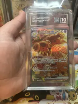 Pokemon Dachsbun Ex 129102 Special Art Rare Stellar Miracle TAG 10 Gem Mint - Image 5