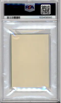 PSA 10 JAPANESE POKEMON KIDS LOMBRE #351 ADVANCE 8 2005 POP 1 292B - Image 2