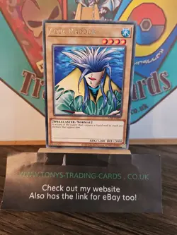 LOB-EN027 Aqua Madoor Rare 25th Anniversary Edition Mint YuGiOh Card - Image 1