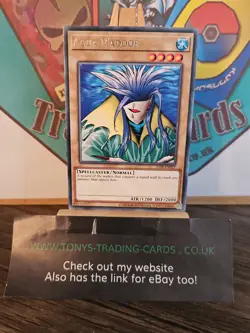 LOB-EN027 Aqua Madoor Rare 25th Anniversary Edition Mint YuGiOh Card - Image 3