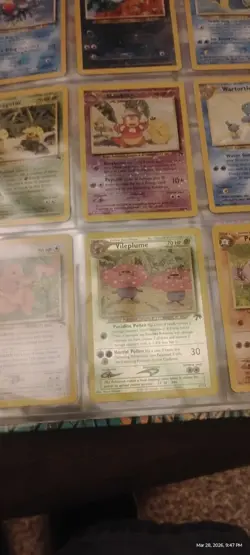 Pokemon Southern Islands COMPLETE SET Binder and all 18 Cards - Image 5