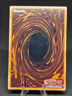 Yugioh! Fake Feather RGBT-EN070 1st Edition Raging Battle Common NM - Image 2