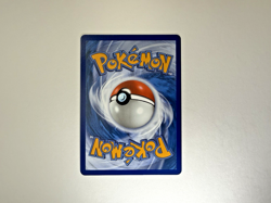 Pokemon TCG First Partner Illustration Collection Series 1 Kanto GEN 1 Starters - Image 5