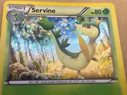 Servine 001/012 McDonald's 2012 Holo Pokemon card Pristine Near Mint condition - Image 4