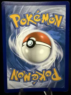 Pokemon TCG Eevee Black Star Promo SWSH118 - Image 2