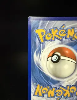 Pokemon TCG Eevee Black Star Promo SWSH118 - Image 3