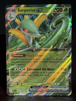 LOT of 12 Pokemon TCG Black Bolt White Flare Double Rare Holo ex Cards (MINT) - Image 2