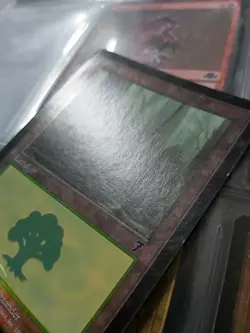 Mtg Forest Foil 7th 329 Moderately Played - Image 5