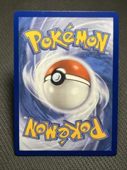 Chimchar - 041 041 Holo Promo ME: Mega Evolution Promo Pokemon Near Mint - Image 2