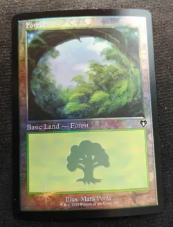 Forest - Foil - Retro Frame - CMM - NM Unplayed - EN - 451 - Image 1